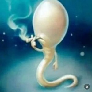 Meet your Posher, Joelle